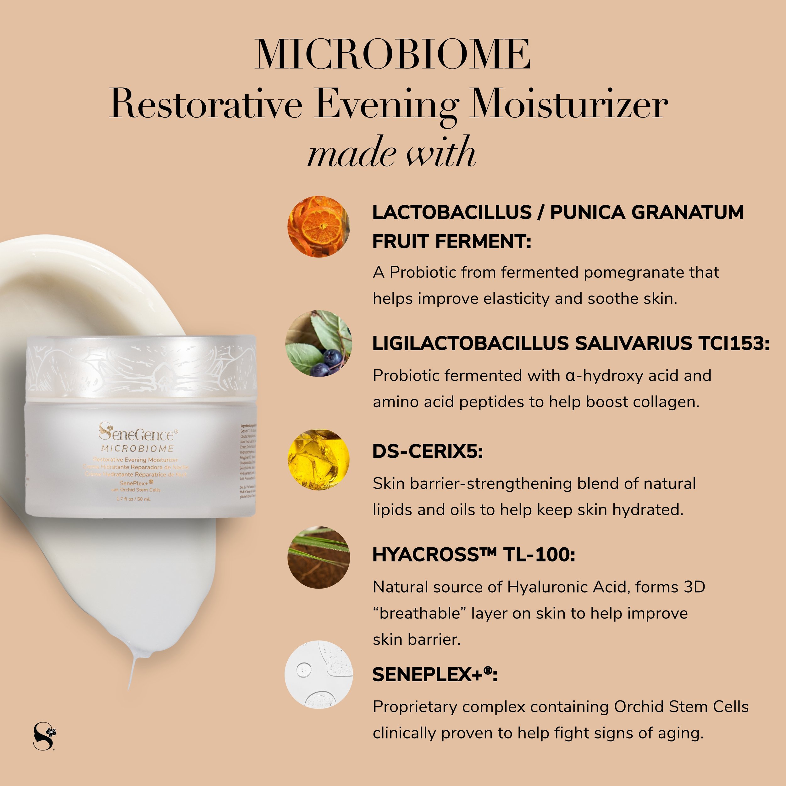 Microbiome Restorative Night Cream | Deep Moisture & Anti-Aging